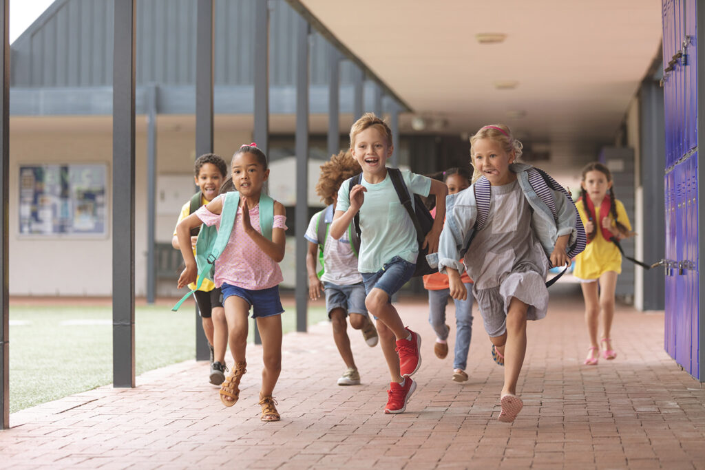 assurance scolaire mutuelle generale d'avignon